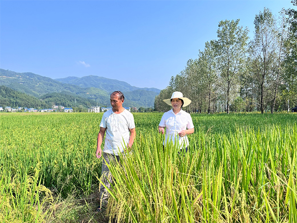 江粮集团：守牢粮食安全底线 助推粮食产业高质量发展